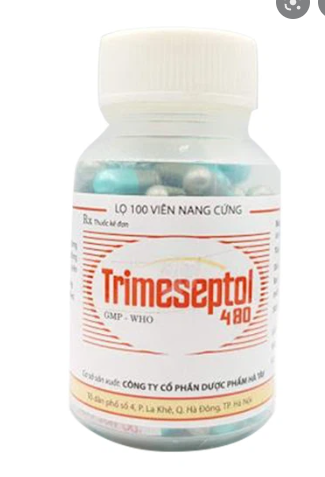 Trimeseptol 480 Hà Tây (Lọ/100v) viên nang