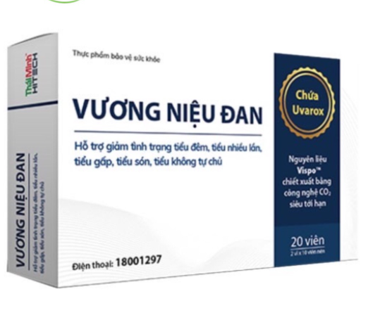 Vương niệu đan Thái Minh (H/20v)