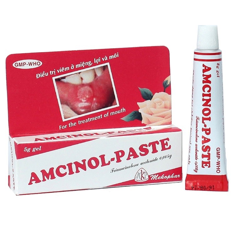 Amcinol paste Mekophar (Tuýp/5g) 