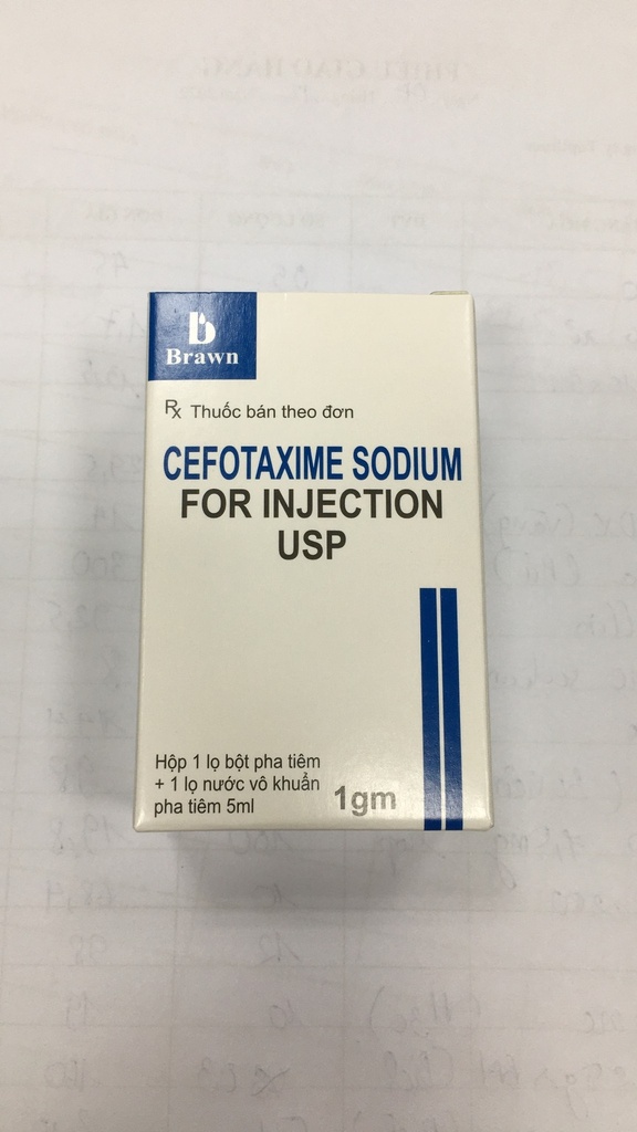 Cefotaxime Sodium For Injection USP Brawn (H/2lọ) Date 01/2025