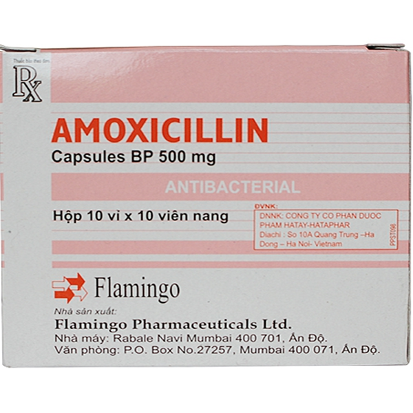 Amoxicillin BP 500mg Flamingo Ấn Độ (H/100v) hồng