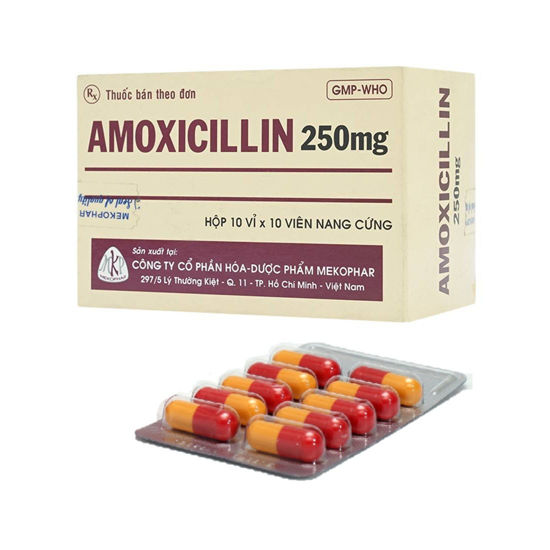 Amoxicillin 250mg viên nang Mekophar (H/100v)