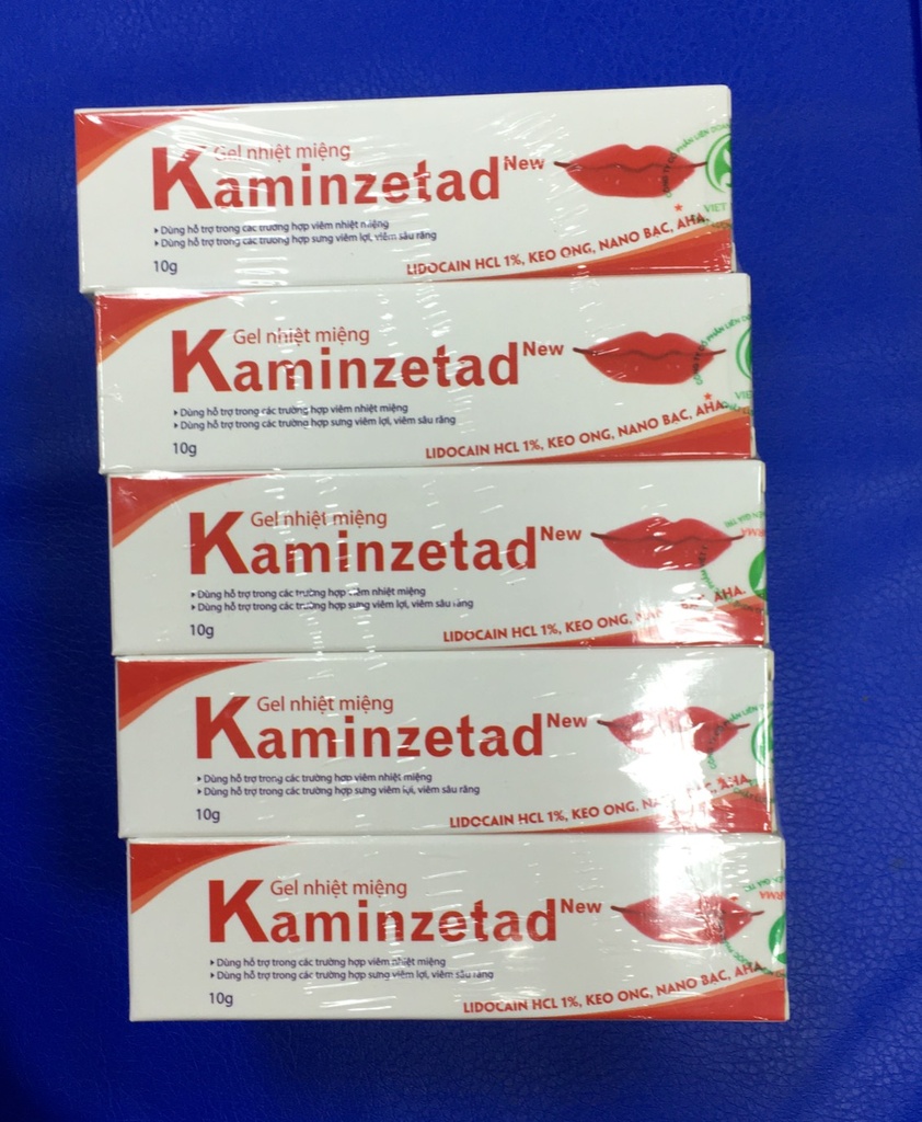 Gel nhiệt miệng Kaminzetad Hadophar (Tuýp/10g)