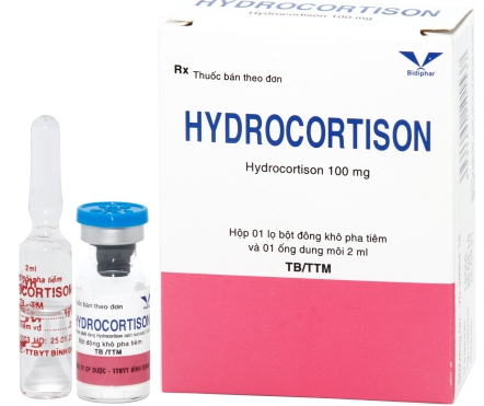 Hydrocortison 100mg Bình Định (H/1lọ/1o)