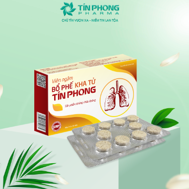 Viên ngậm bổ phế Kha Tử Tín Phong (H/20v)