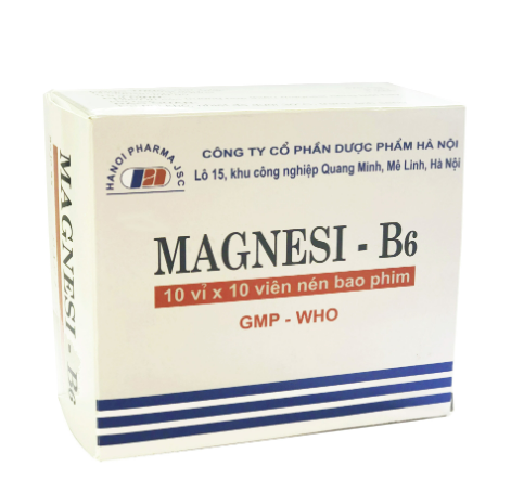 Magnesi B6 Hà Nội (H/100v) 