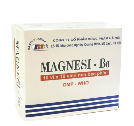 Magnesi B6 Hà Nội (H/100v)