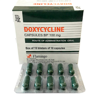 Doxycycline 100mg Flamingo (H/100v) 