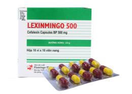 Lexinmingo Cephalexin 500mg Flamingo Ấn Độ (H/100v) Date 09/2025