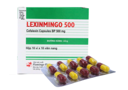Lexinmingo Cephalexin 500mg Flamingo Ấn Độ (H/100v)