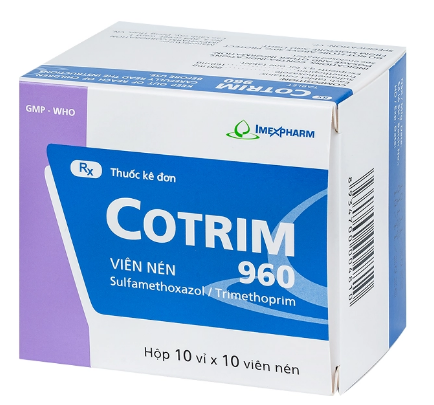 Cotrim 960mg Imexpharm (H/100v)