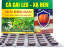 [T12680] Giải độc gan cà gai leo xạ đen Akopha (H/60v)(hình gan)
