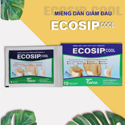 Ecosip Cool Miếng Dán Lạnh Thảo Dược TaTra (H/10miếng)