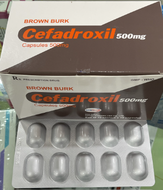 Brown Burk Cefadroxil 500mg Nutripharma (H/100v)