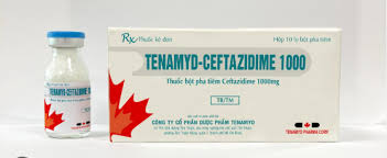 Tenamyd Ceftazidime thuốc bột pha tiêm Ceftazidime 1000mg (H/10 lọ)