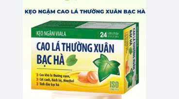 Kẹo ngậm Viala Cao lá thường xuân bạc hà (H/24v)
