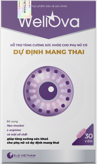 Bổ Trứng WellOva E&S Việt Nam (H/30v)