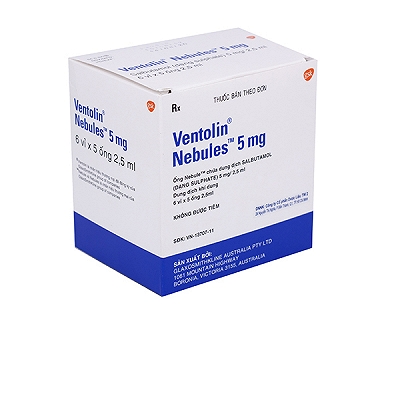 Ventolin Nebules Salbutamol 5mg/2.5ml GSK (H/6v/5o) Date 08/2025