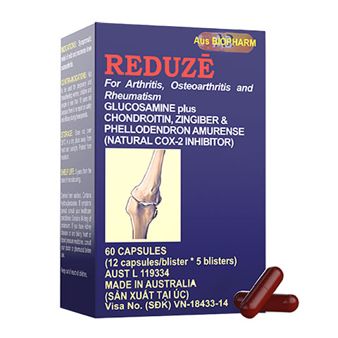 Reduze Glucosamin Australia (H/60v)