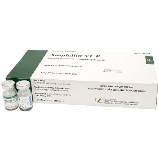 Ampicillin 1g  tiêm VCP (H/50 lọ)