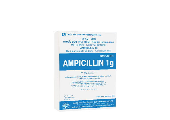 Ampicillin 1g tiêm Mekophar (H/50lọ/1g)