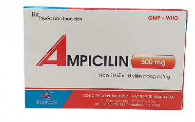 Ampicilin 500mg Thanh Hoá (H/100v)
