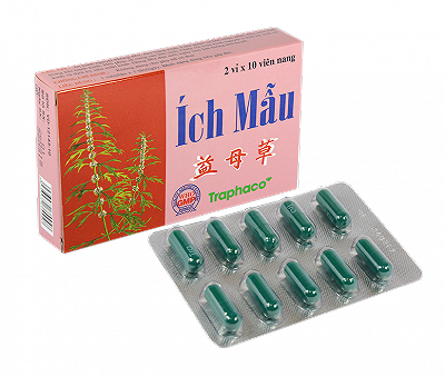 Ích Mẫu Traphaco (H/20v)