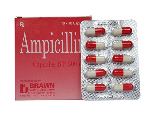  Ampicillin 500mg Ấn Độ (H/100v)