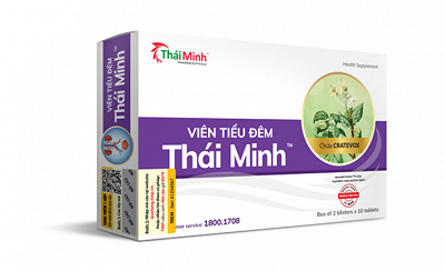 Viên Tiểu Đêm Thái Minh (H/20v)