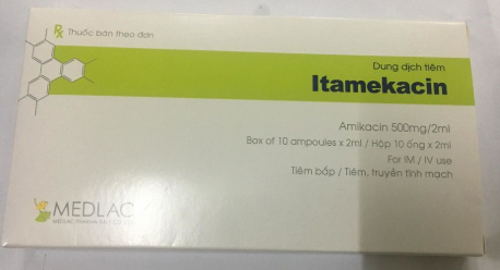Itamekacin Amikacin 500mg/2ml Medlac (H/10o)