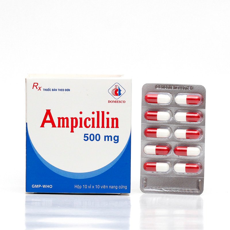 Ampicillin 500mg Đồng Tháp (H/100v)