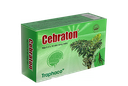 [T02048] Cebraton Traphaco (H/50v) 