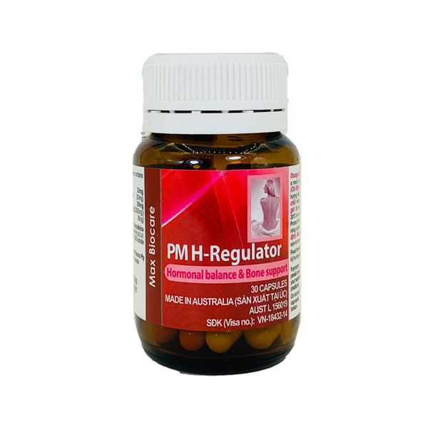 PM H Regulator (Lọ/30v) Date 10/2026