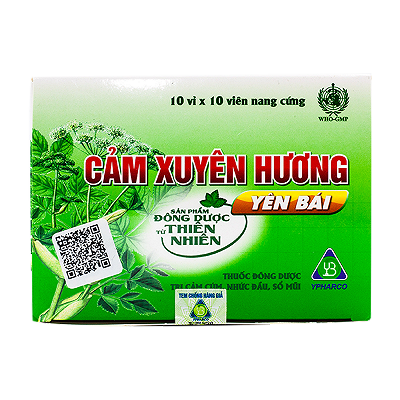 Cảm Xuyên Hương viên Yên Bái (H/100v)