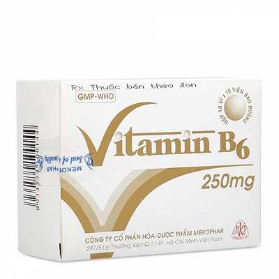 Vitamin B6 250mg Mekophar  (H/100v)