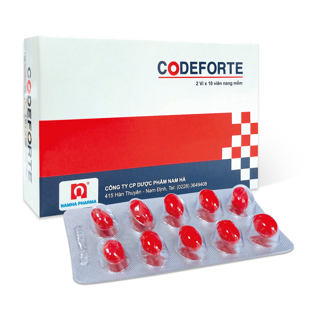 Codeforte Nam Hà (H/20v)