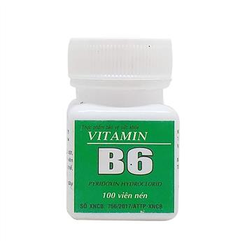 Vitamin B6 Đại Y (Cọc/10lọ/100v)