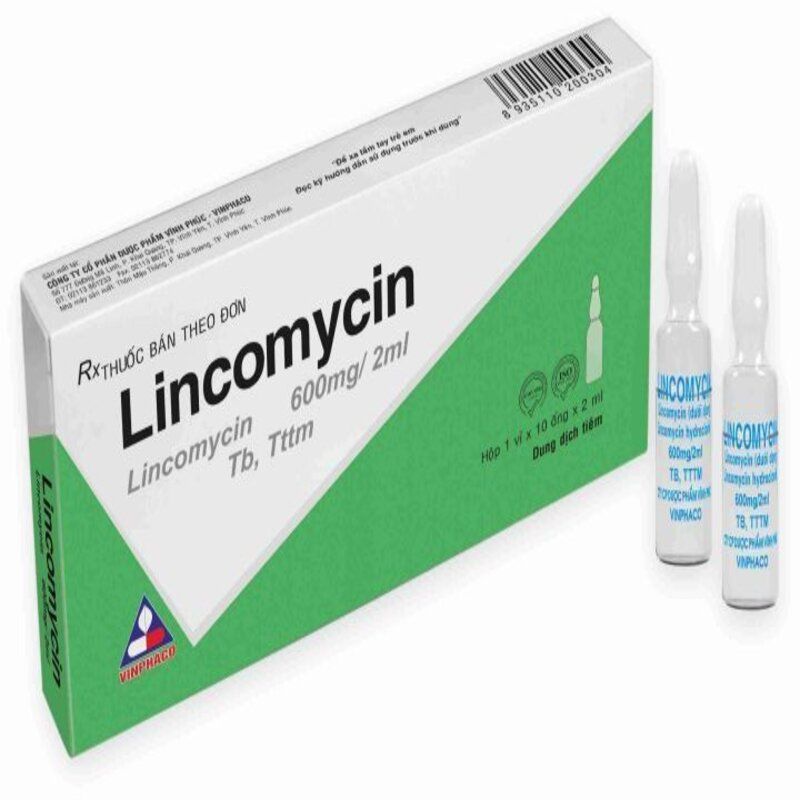 Lincomycin 600mg/2ml Vĩnh Phúc (H/10o/2ml)