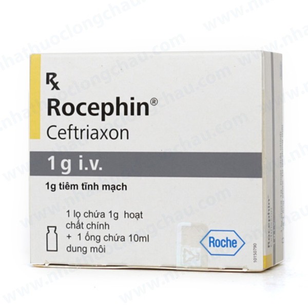  Rocephin 1g I.V tiêm Roche (H/1lọ/1o)