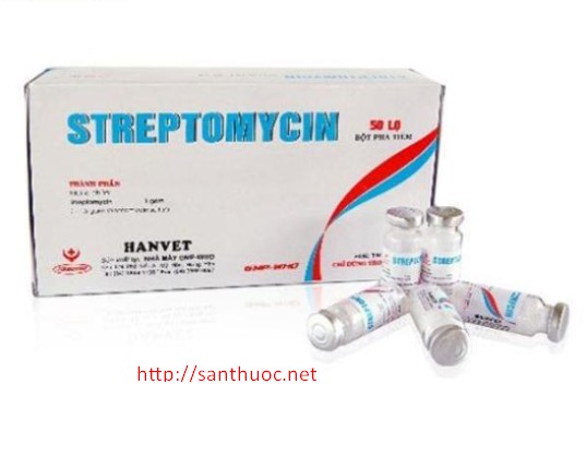 Streptomycin 1g Russia (H/50lọ)