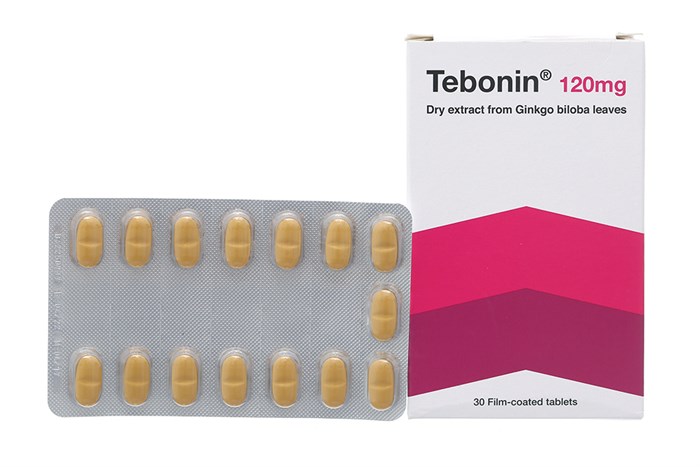 Tebonin Ginkgo biloba 120mg Đức (H/30v)