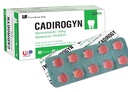 [T03051] Cadirogyn Metronidazole 125mg USP (H/20v)