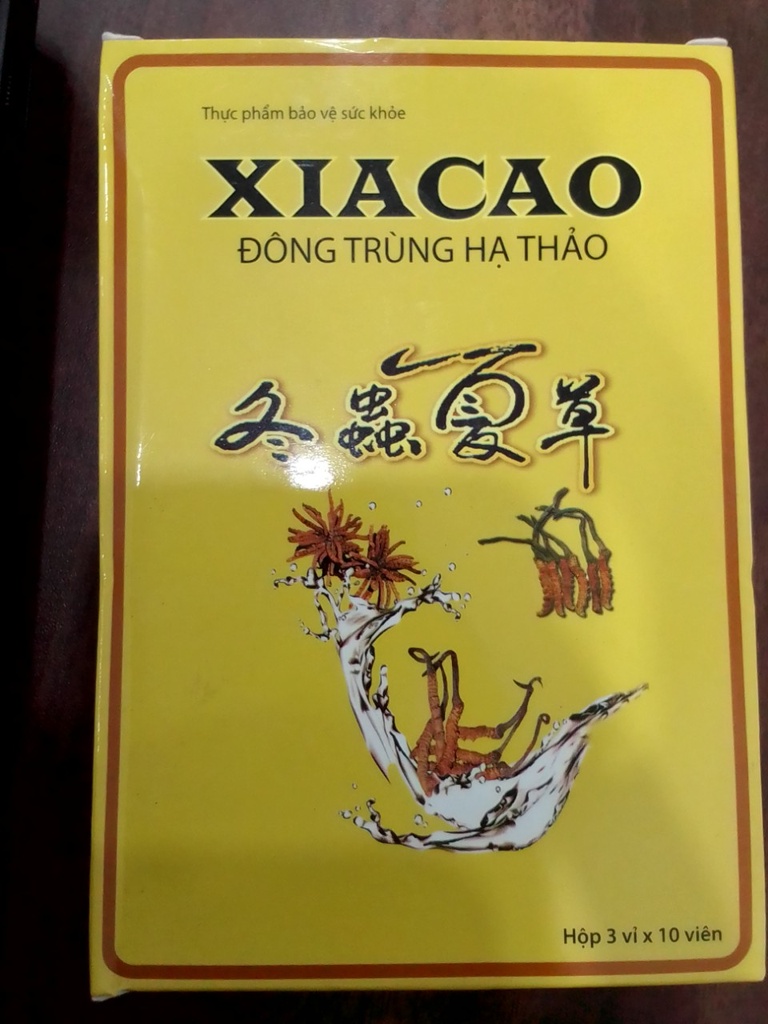 Xiacao Đông Trùng Hạ Thảo Hà Nam (H/30v)