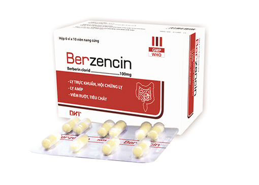 Berzencin Berberin Hà Tây (H/60v)