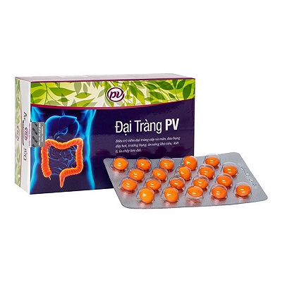 Đại Tràng PV Phúc Vinh (H/100v)