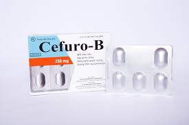 Cefuro B Cefuroxim 250mg Tenamyd (H/10v)