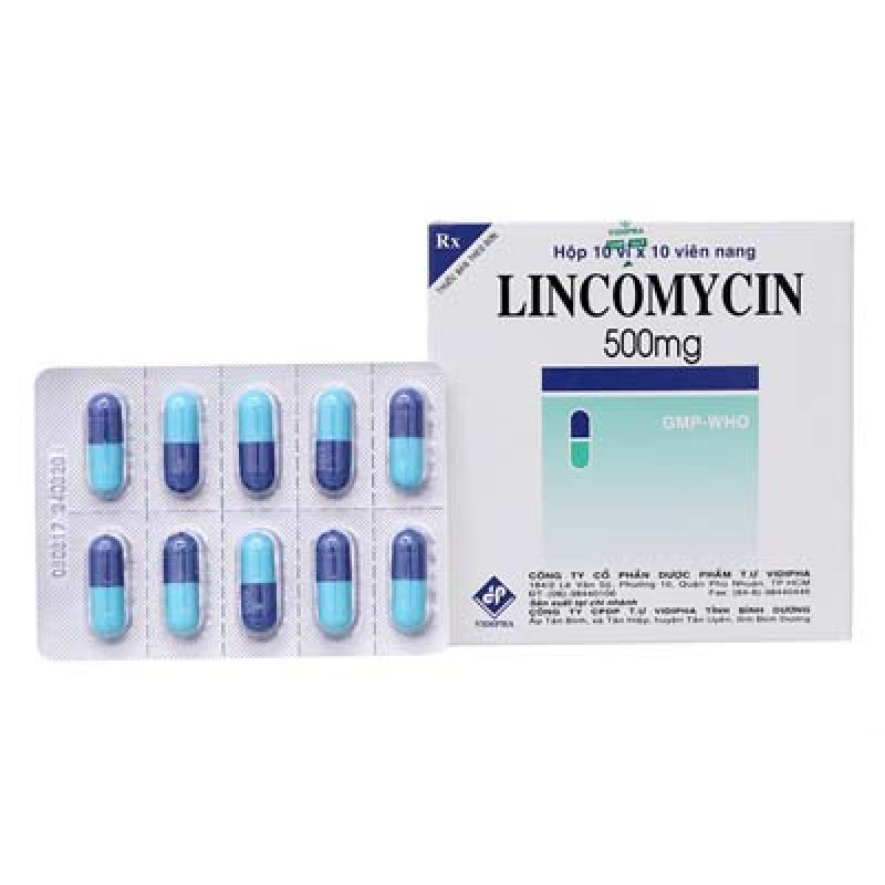 Lincomycin 500mg Vidipha (H/100v)