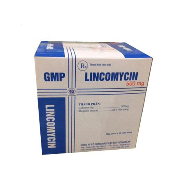 Lincomycin 500mg Nghệ An (H/100v)