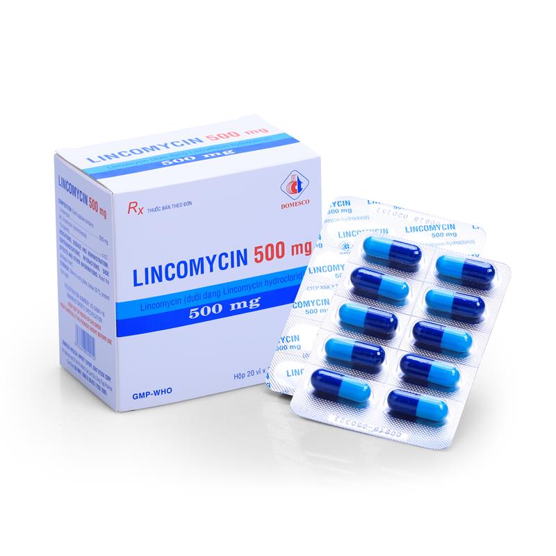 Lincomycin 500mg Domesco Đồng Tháp (H/200v)