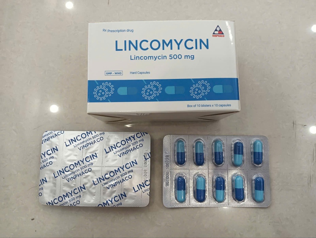 Lincomycin 500mg Vĩnh Phúc (H/100v)